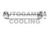 AUTOGAMMA 105291 Intercooler, charger